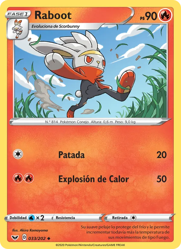 Raboot Espada y Escudo 33/202