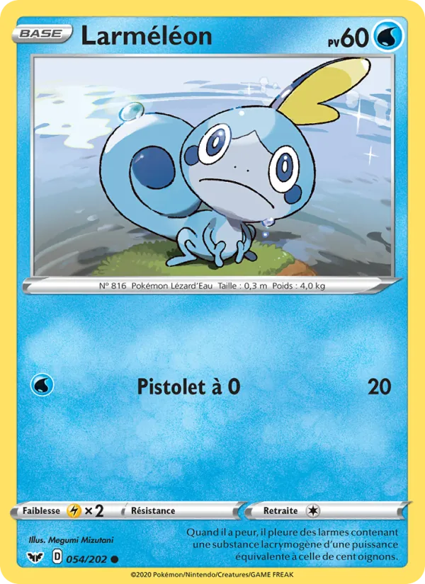 Larméléon Épée et Bouclier 54/202