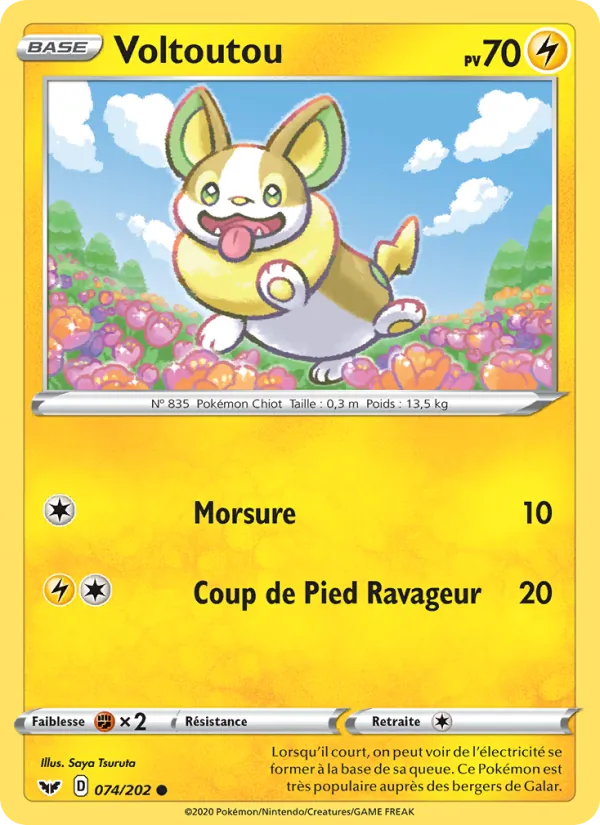 Voltoutou Épée et Bouclier 74/202