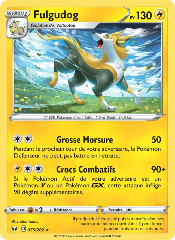 Fulgudog Épée et Bouclier 75/202
