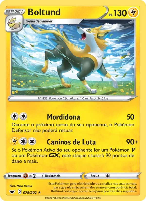 Boltund Espada e Escudo 75/202