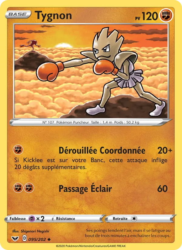 Tygnon Épée et Bouclier 95/202