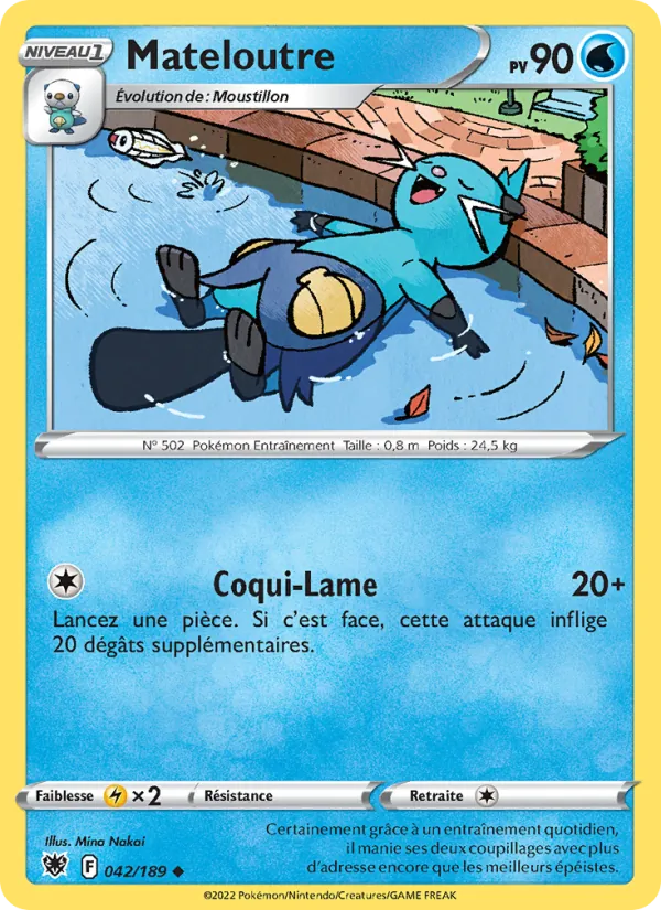 Mateloutre Astres Radieux 042/189