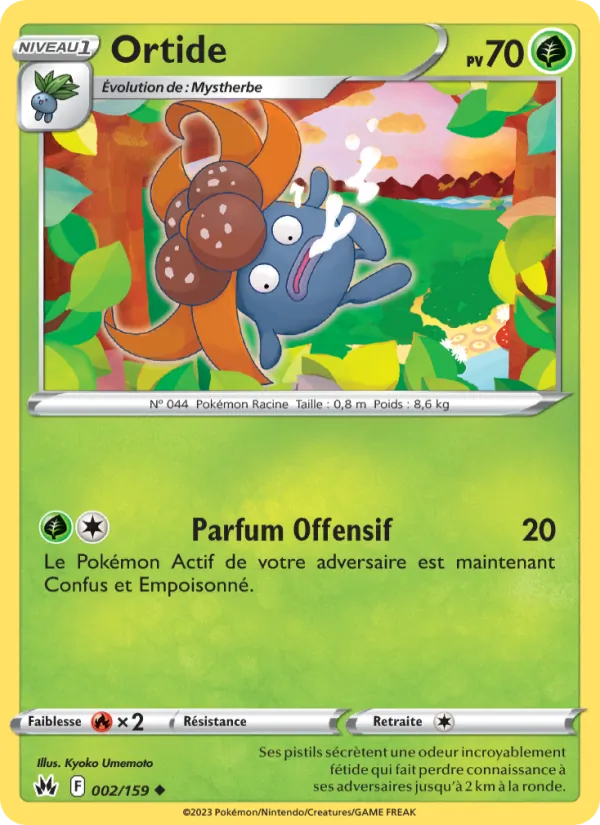 Ortide Zénith Suprême 002/159