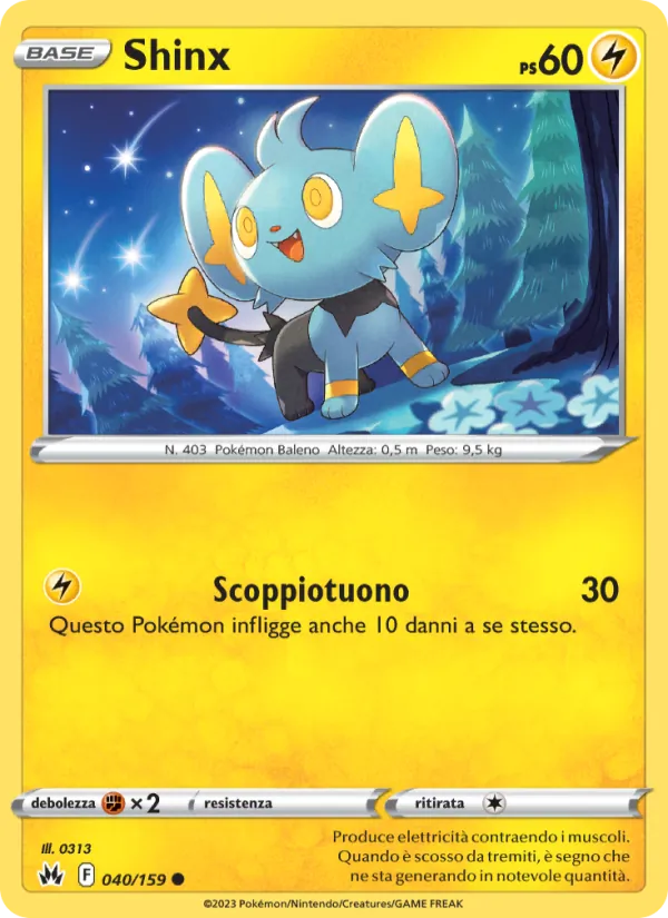 Shinx Zenit Regale 040/159