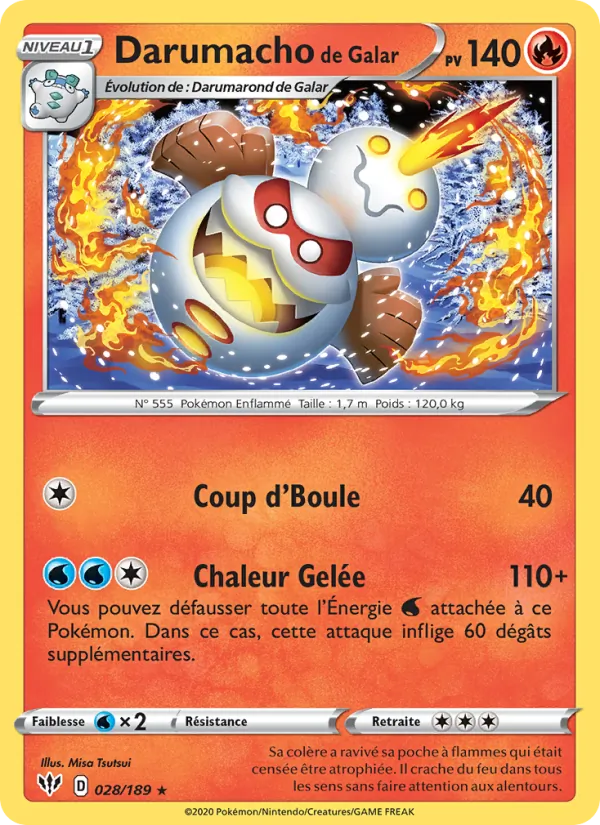 Darumacho de Galar Ténèbres Embrasées 28/189
