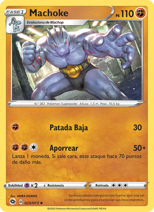 Machoke Camino de Campeones 25/73