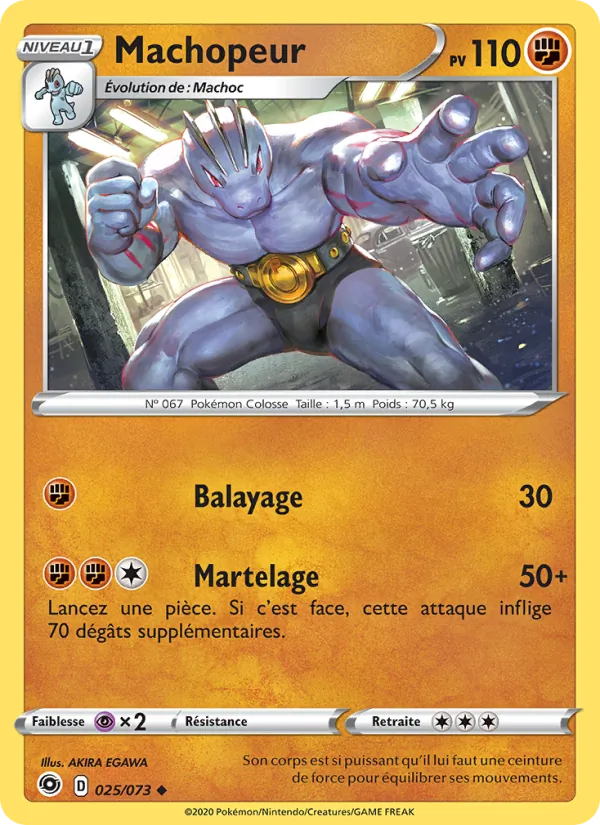 Machopeur La Voie du Maître 25/73