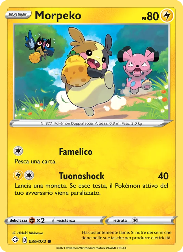 Morpeko Destino Splendente 36/72