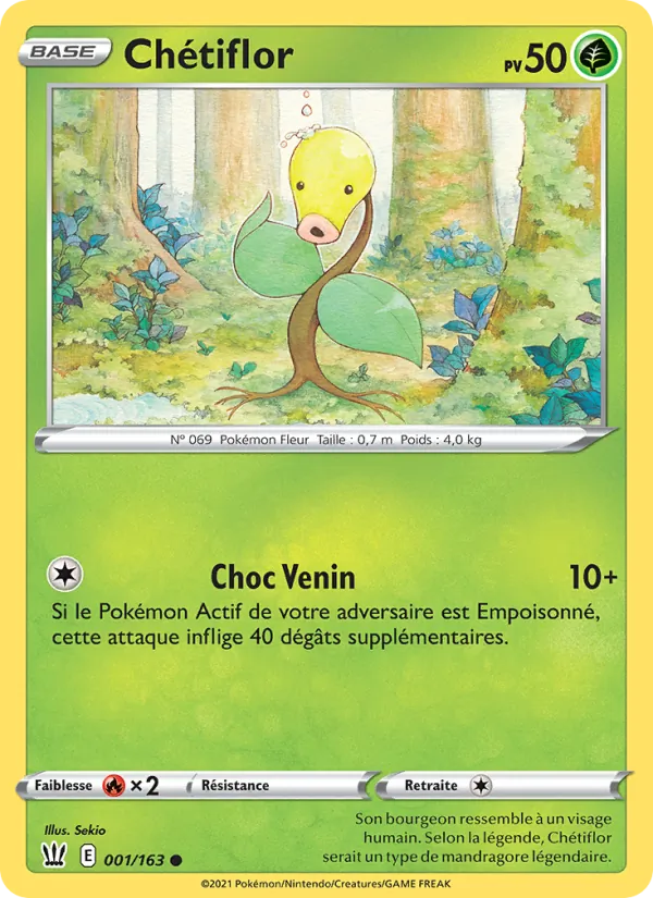 Chétiflor Styles de combat 1/163