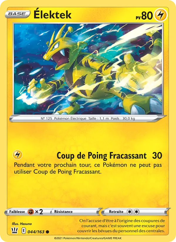 Élektek Styles de combat 44/163