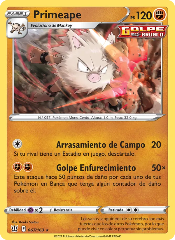 Primeape Estilos de Combate 67/163