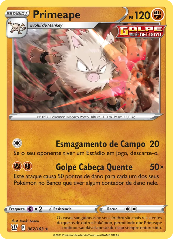 Primeape Estilos de Batalha 67/163