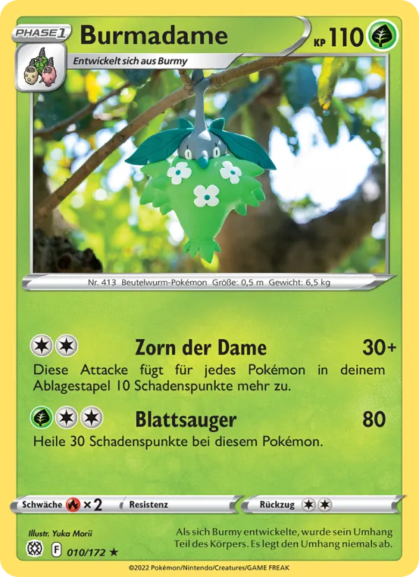 Burmadame Strahlende Sterne 010/172