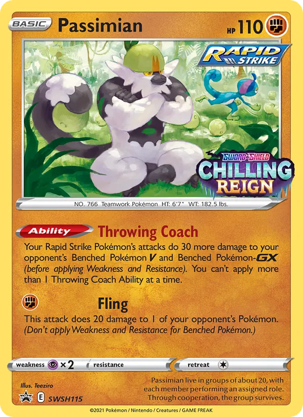 Passimian SWSH Black Star Promos SWSH115/307