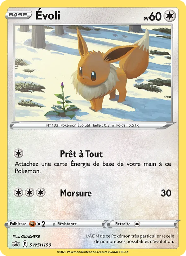 Évoli Promo SWSH SWSH190/307