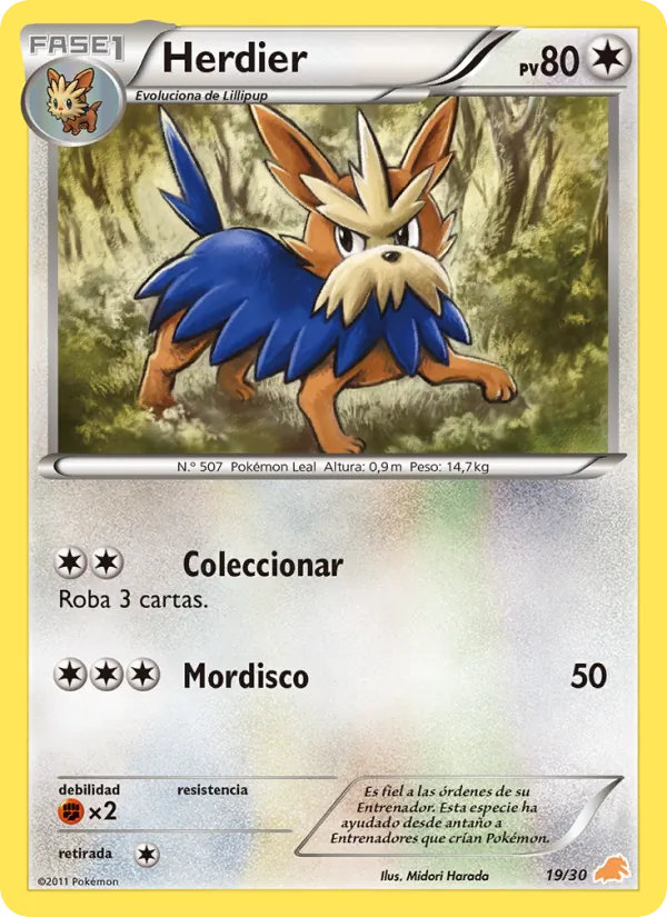 Herdier Kit de Entrenador BW (Excadrill) 19/30