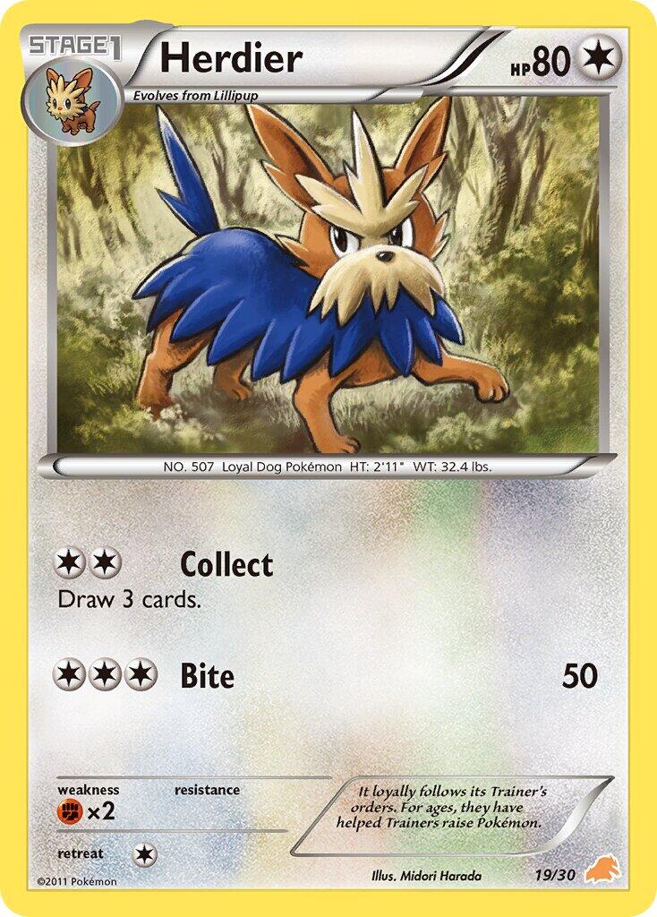 Herdier BW trainer Kit (Excadrill) 19/30