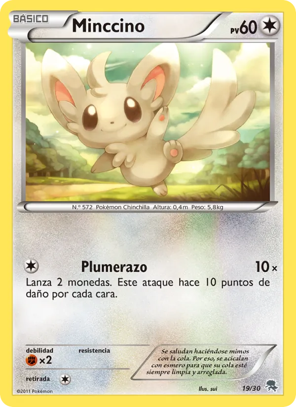 Minccino Kit de Entrenador XY (Pikachu Enmascarada) 19/30