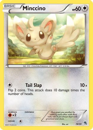 Minccino