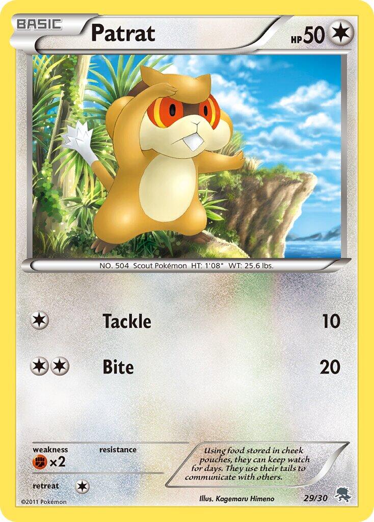 Ratentif BW Kit du dresseur (Zoroark) 29/30