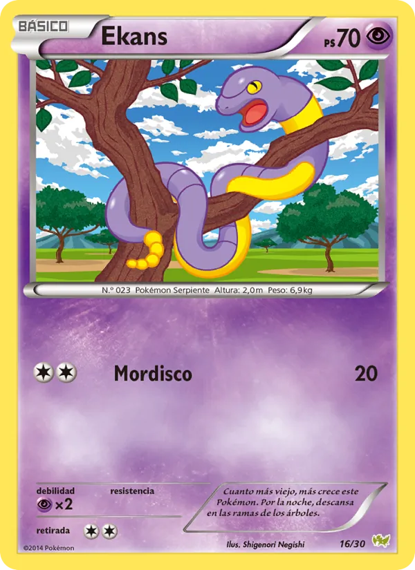 Ekans Kit de Entrenador XY (Noivern) 16/30