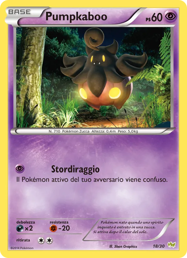 Pumpkaboo XY trainer Kit (Noivern) 18/30