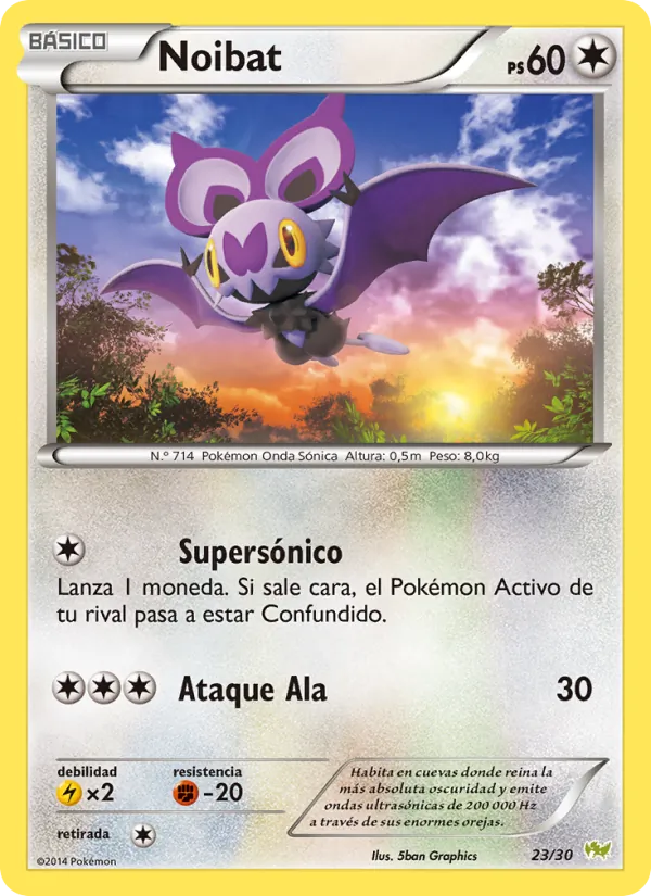 Noibat Kit de Entrenador XY (Noivern) 23/30