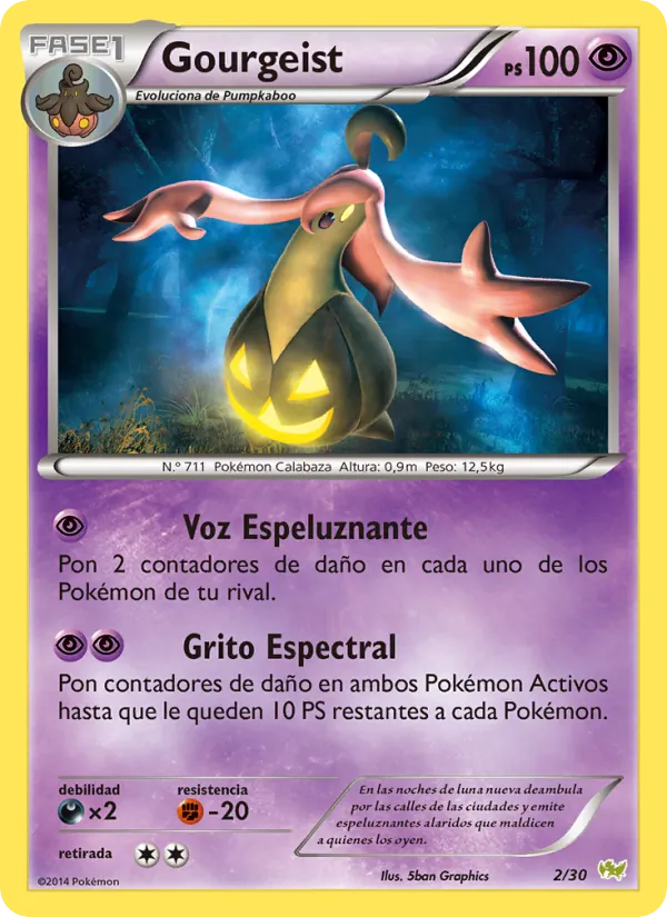Gourgeist Kit de Entrenador XY (Noivern) 2/30
