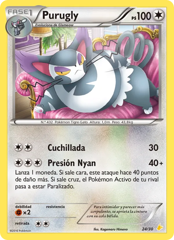 Purugly Kit de Entrenador XY (Pikachu Enmascarada) 24/30