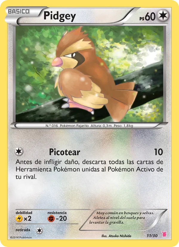 Pidgey Kit de Entrenador XY (Wigglytuff) 11/30