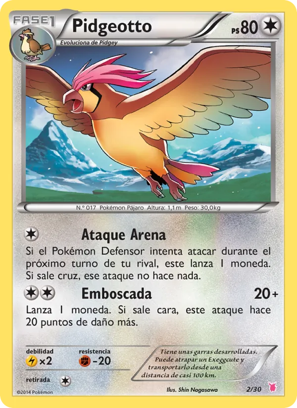 Pidgeotto Kit de Entrenador XY (Wigglytuff) 2/30