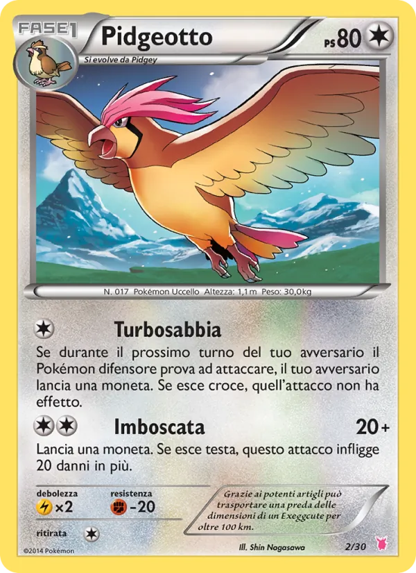 Pidgeotto XY trainer Kit (Wigglytuff) 2/30