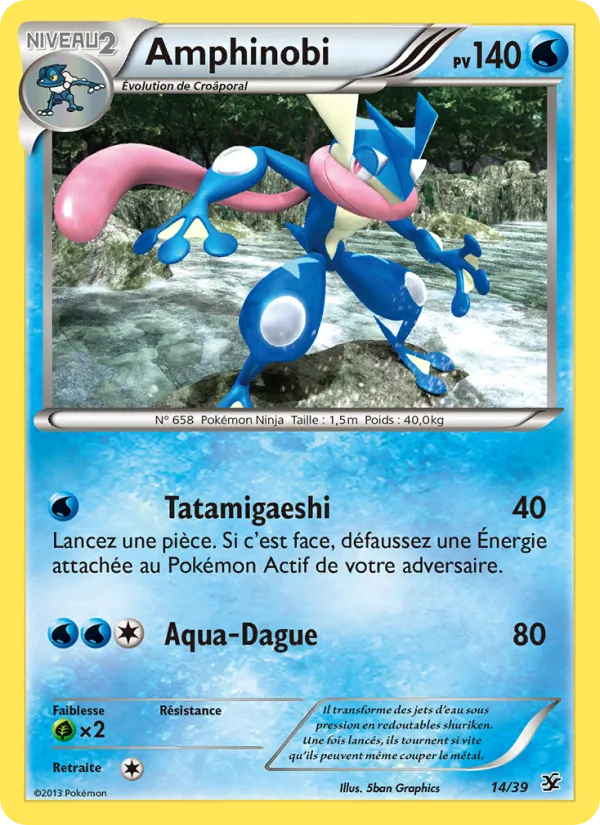 Amphinobi Bienvenue à Kalos 14/39