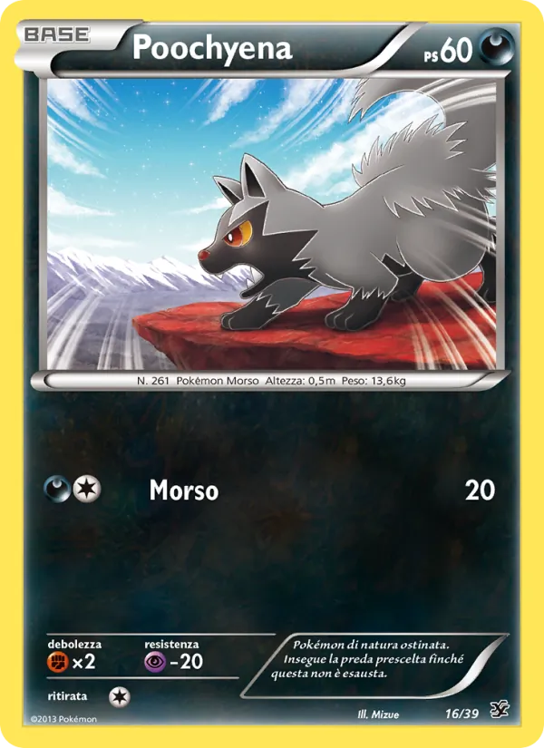 Poochyena Benvenuti a Kalos 16/39