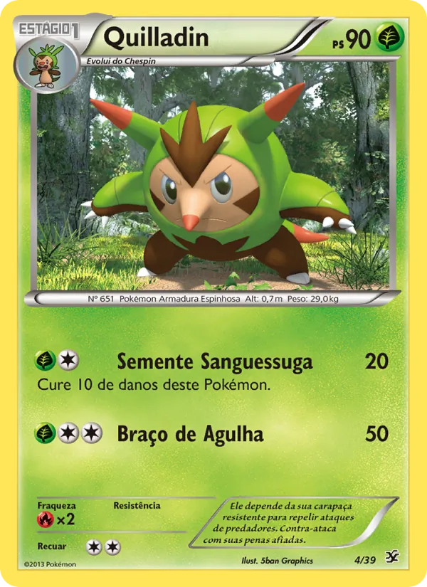 Quilladin Conjunto para Iniciantes Kalos 4/39