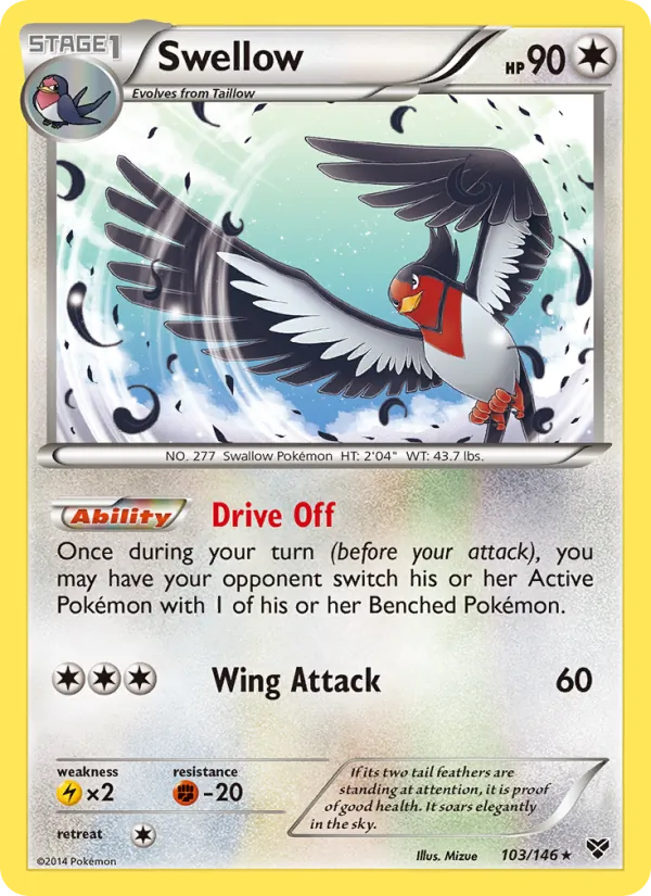 Swellow XY 103/146