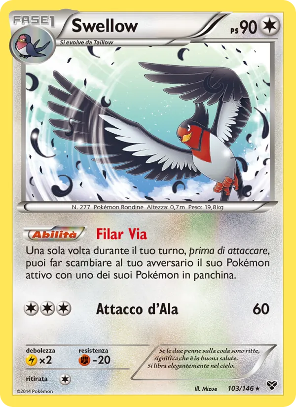 Swellow XY 103/146