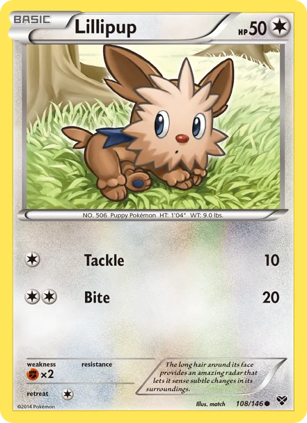 Lillipup XY 108/146