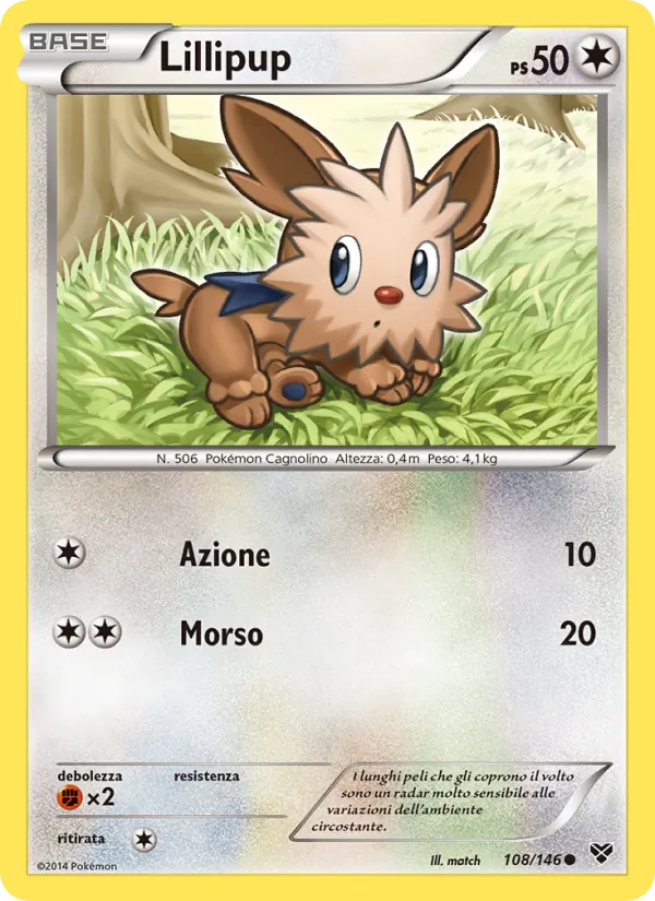 Lillipup XY 108/146