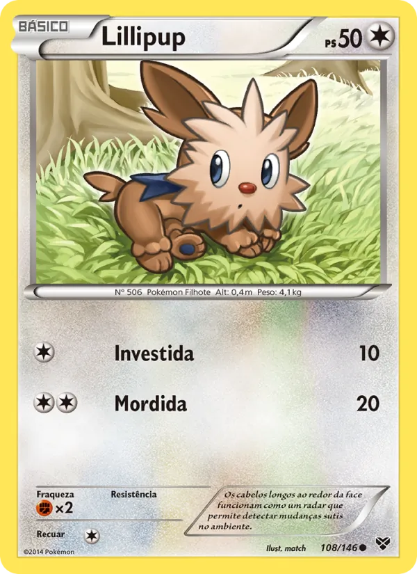 Lillipup XY 108/146