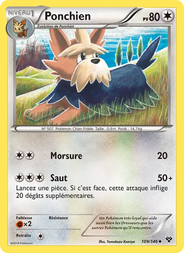 Ponchien XY 109/146