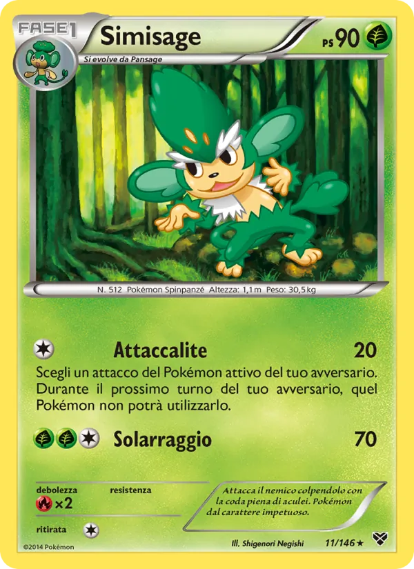 Simisage XY 11/146
