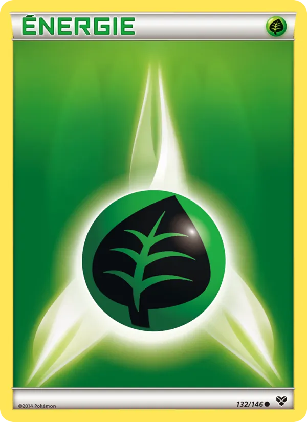 Énergie Plante XY 132/146