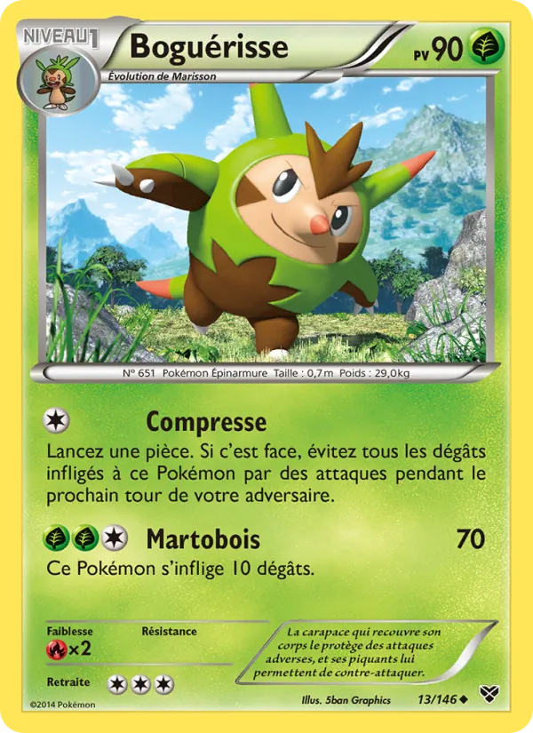Boguérisse XY 13/146