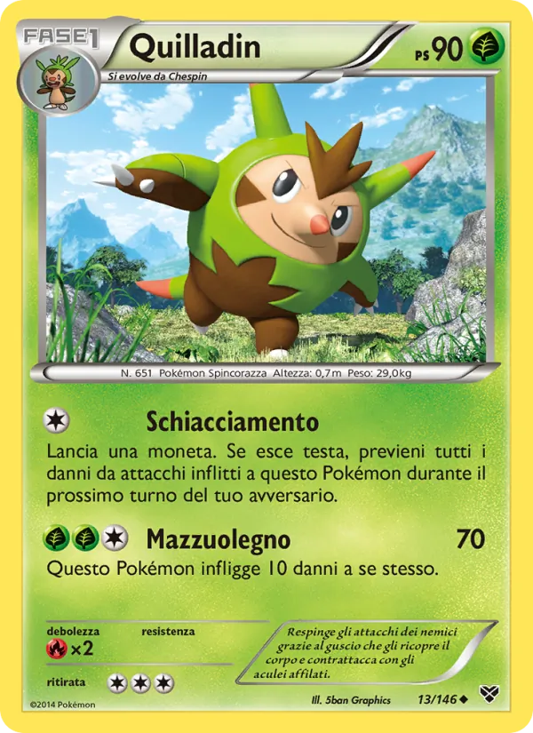 Quilladin XY 13/146