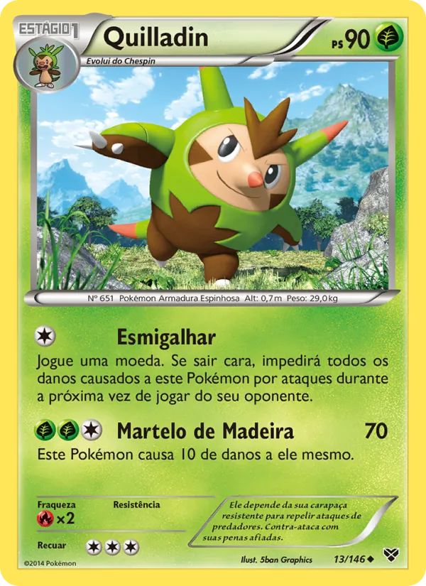 Quilladin XY 13/146
