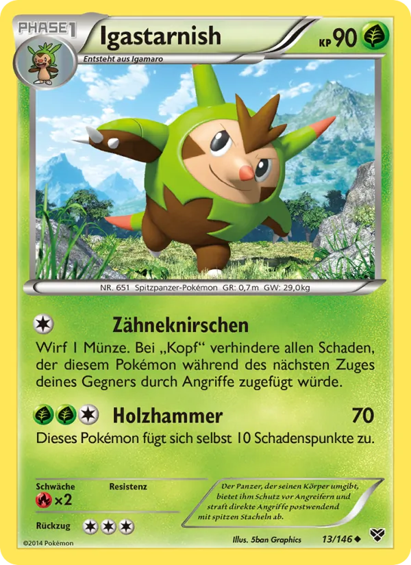 Igastarnish XY 13/146