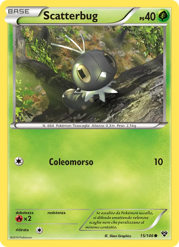 Scatterbug XY 15/146
