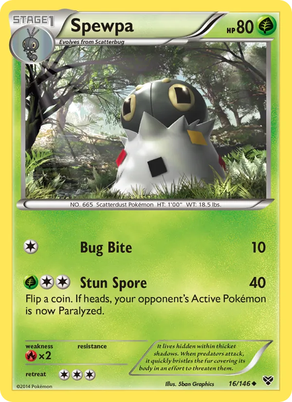 Spewpa XY 16/146